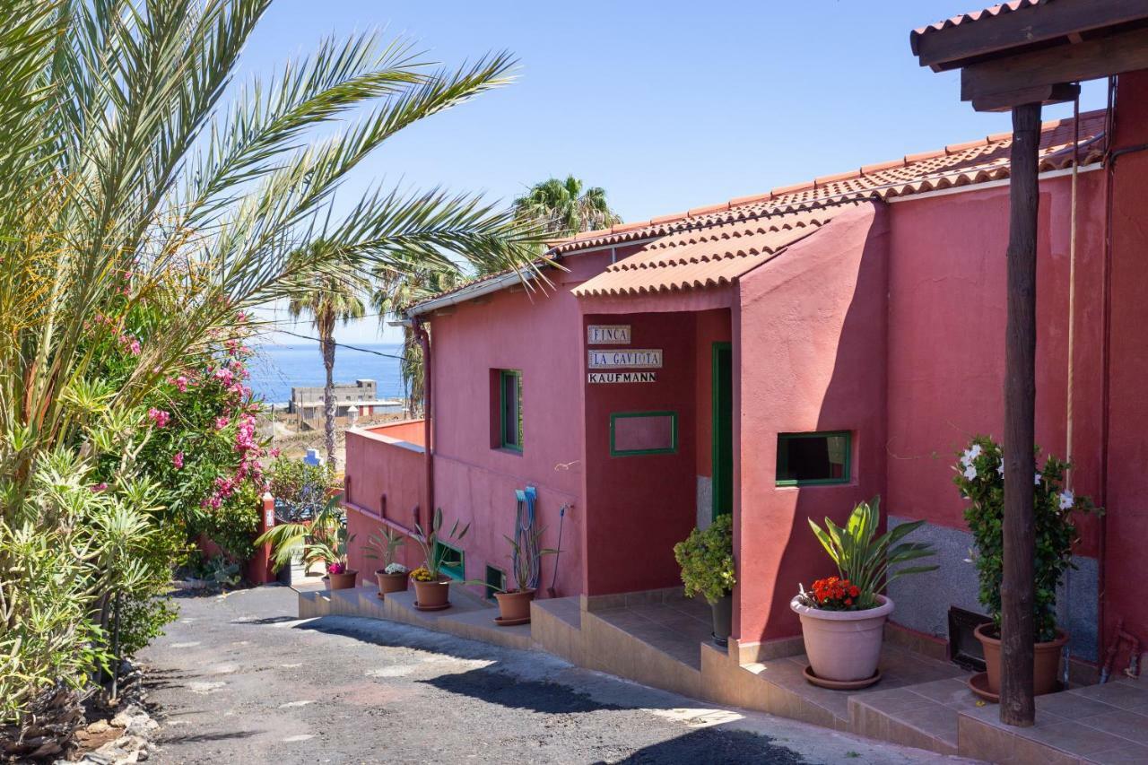 Finca La Gaviota - Las Flores إيكود ذي لوس فينوس المظهر الخارجي الصورة